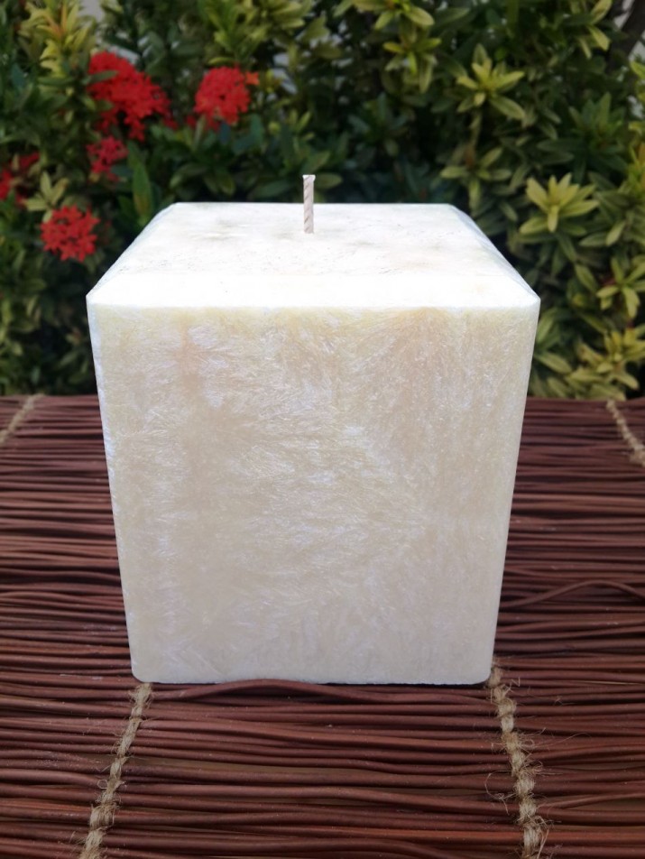 COCONUT & JASMINE Natural Triple Scented Candle 200hr Burn Time ORGANIC WAX GIFT 